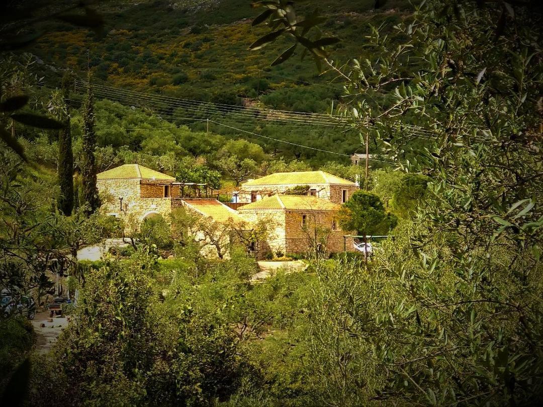Tsivouli Accommodation Lithakia  外观 照片