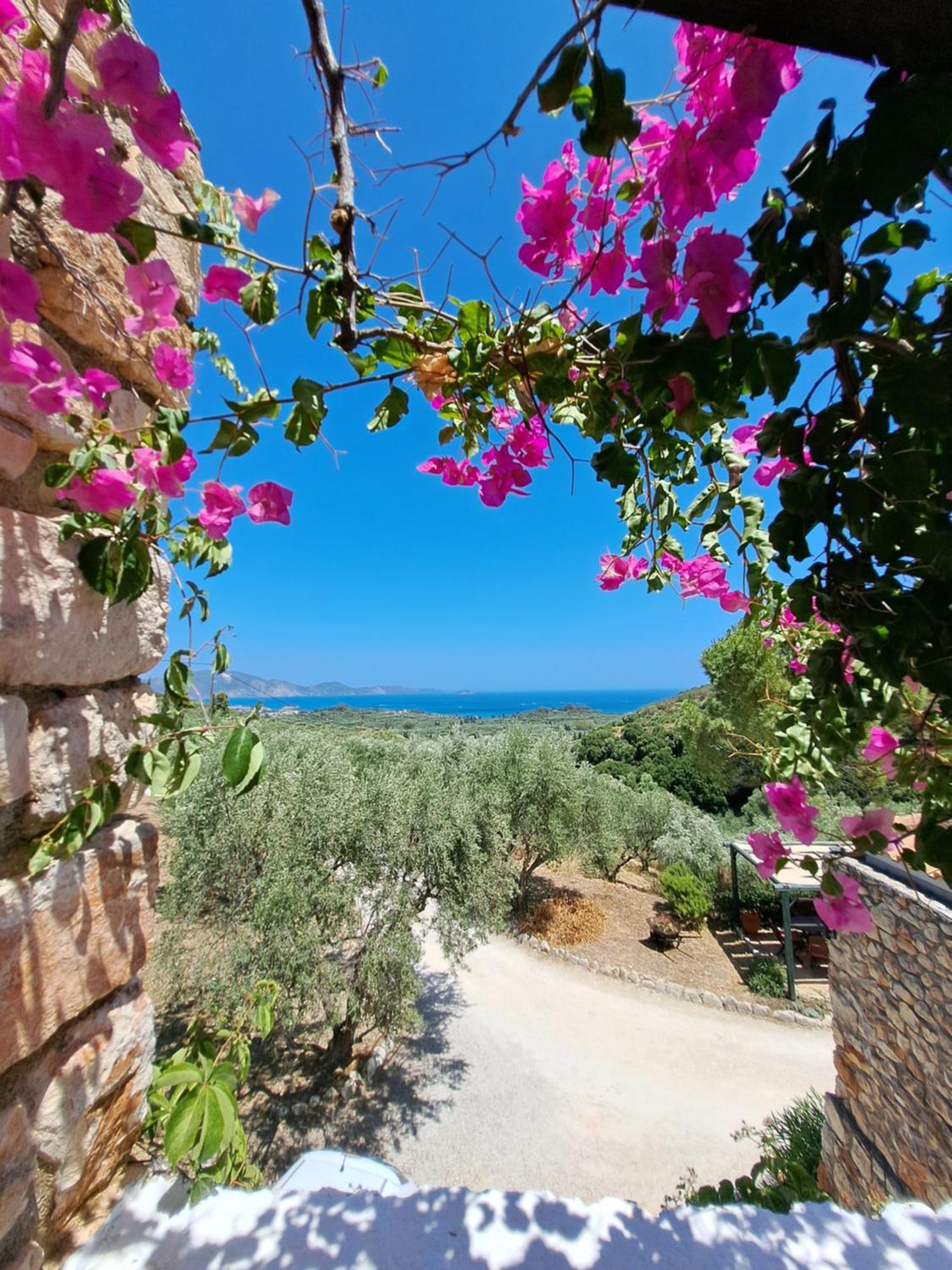 Tsivouli Accommodation Lithakia  外观 照片